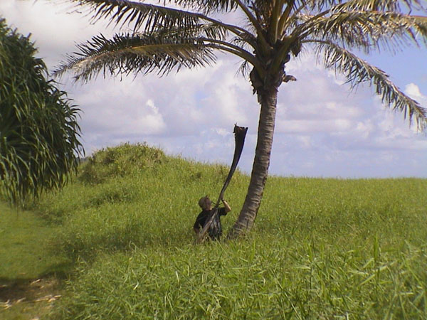 DSC00172