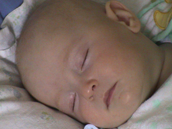 DSC00017b