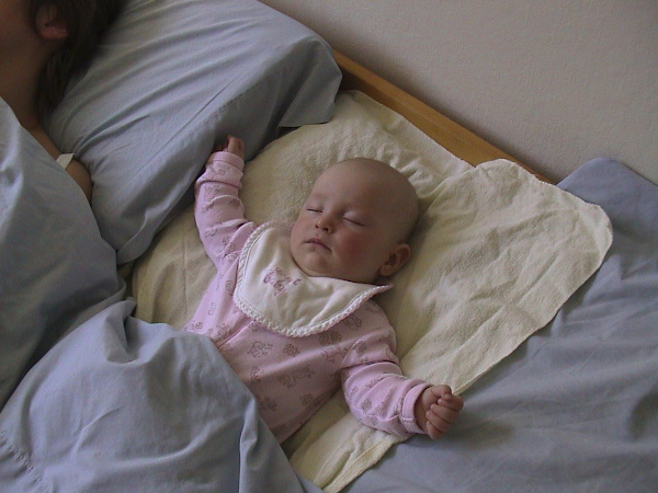 DSC00018b