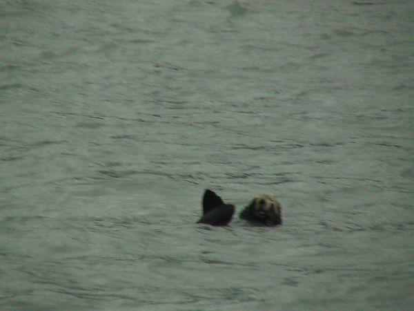 DSC00056_edited