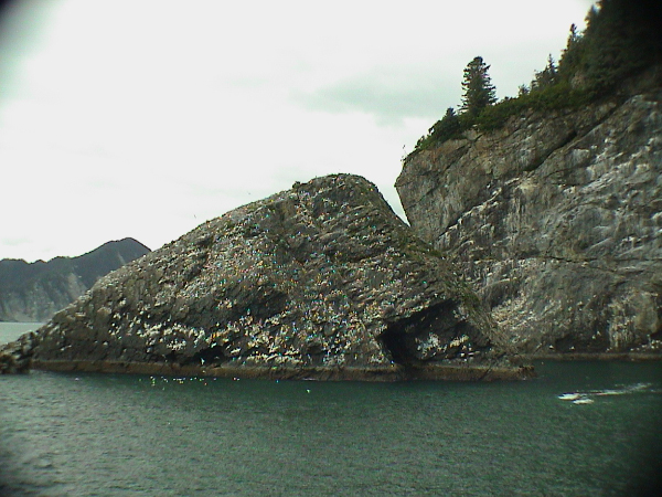 DSC00058