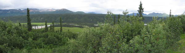 STA_3063-64-65