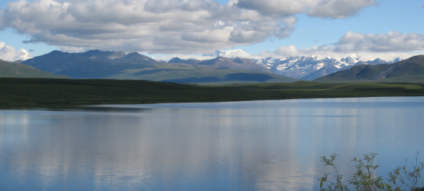 STA_3111-112