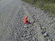 DSC00053