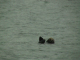 DSC00056_edited